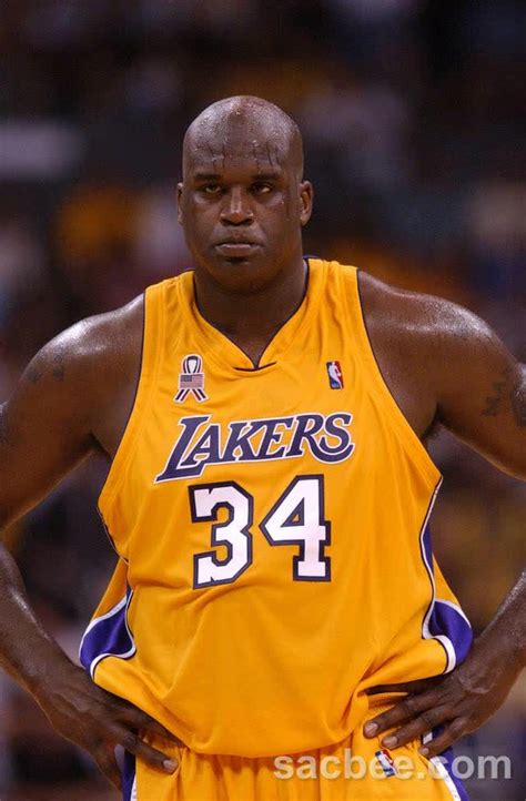 Shaquille ONeal Bio, Age, Height and Weight,。